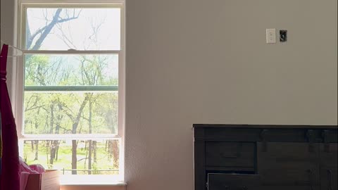 Dog Lets Himself Out the Window