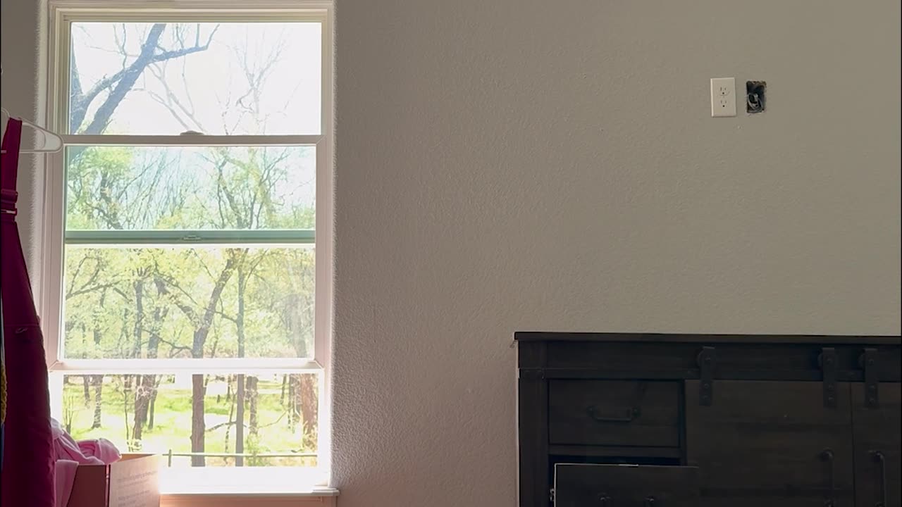 Dog Lets Himself Out the Window