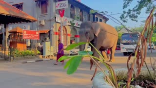 Best places to visit in kandy...🇱🇰 🇱🇰 🇱🇰