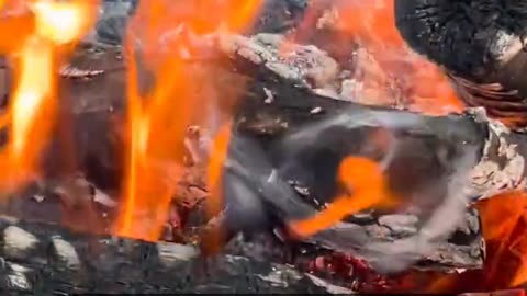 Daily Horoscope | Aries 🌟