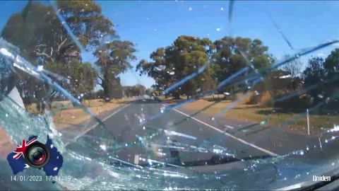 Aussiecams - Large tree branch falls onto vehicle Mc Ivor hwy Victoria