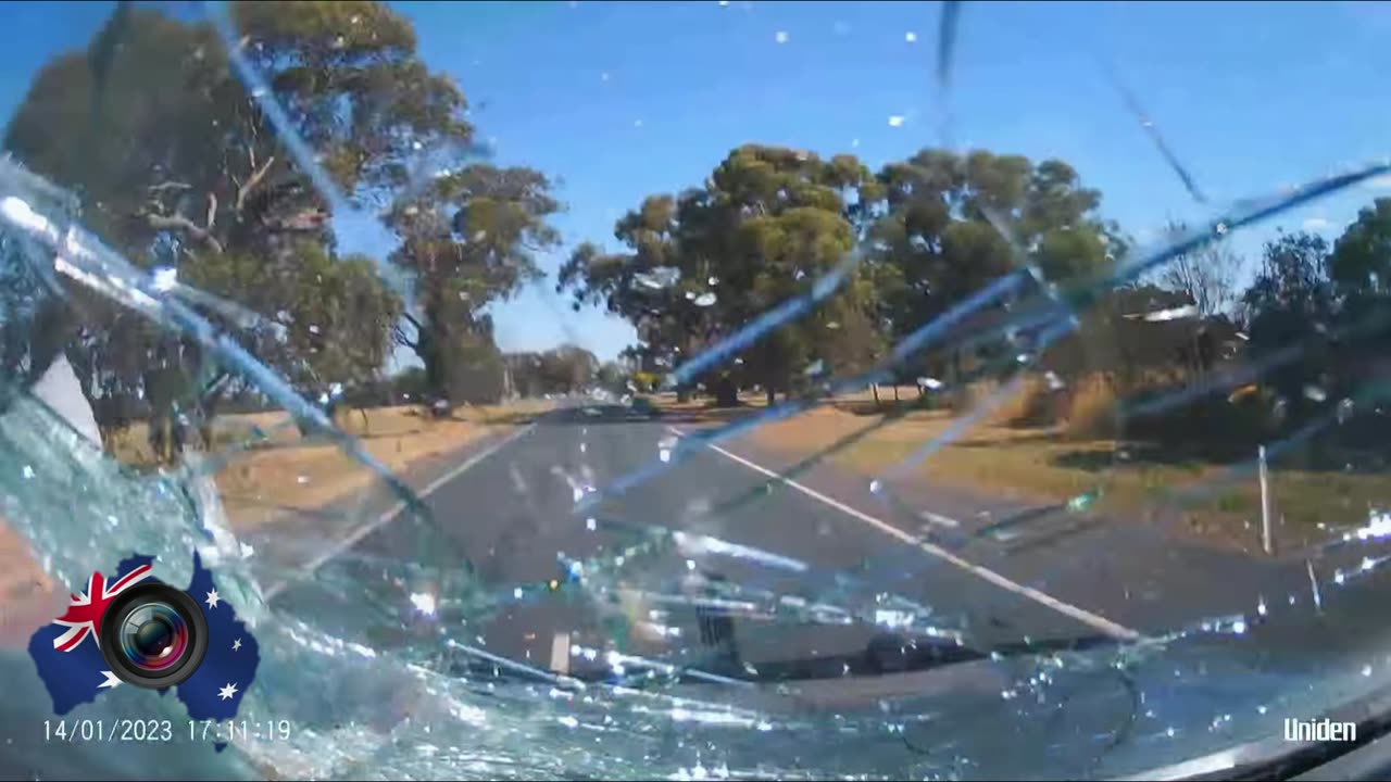Aussiecams - Large tree branch falls onto vehicle Mc Ivor hwy Victoria