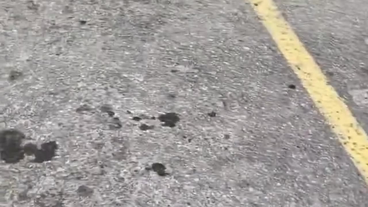 new form of Patriots?