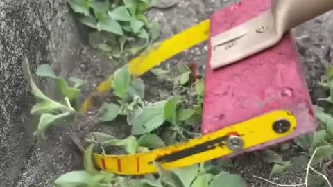 Cheap and Easy Edger