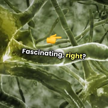 Your Brain is More Amazing Than You Think: 15 Mind-Blowing Neuroscience Facts!