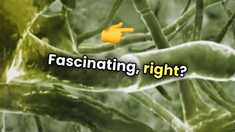 Your Brain is More Amazing Than You Think: 15 Mind-Blowing Neuroscience Facts!