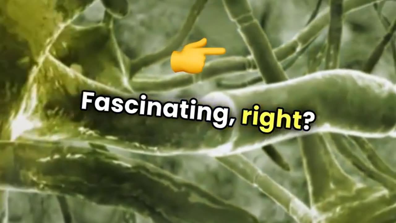 Your Brain is More Amazing Than You Think: 15 Mind-Blowing Neuroscience Facts!
