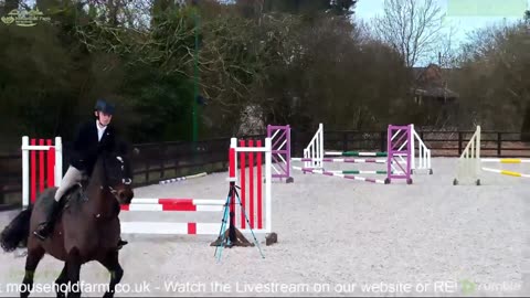 Mousehold Farm All Weather Riding arena