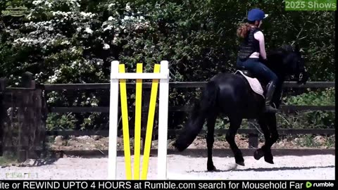 Mousehold Farm All Weather Riding arena