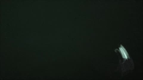 UFO IDENTIFIED Assault The Camera Over Adelaide 21 November 2025