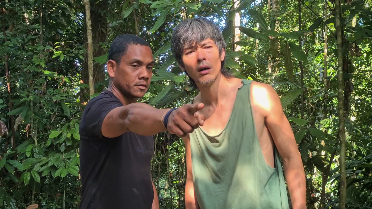 Hungry in the Jungle