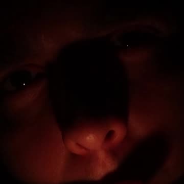 Huge Announcement Later Today! (Outside Cinematic)