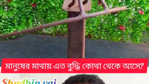 👉 “Unreal Floating Rath – মানুষের বুদ্ধির খেলায় সবাই অবাক!” 🌍🔥