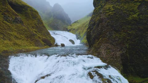 "Success is the ability to sustain effort after the initial excitement has worn off."