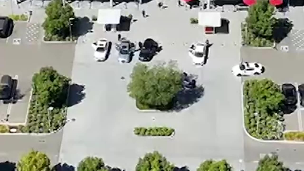 Welcome to the “SHITSHOW” that is California, thanks Gavin Newscum