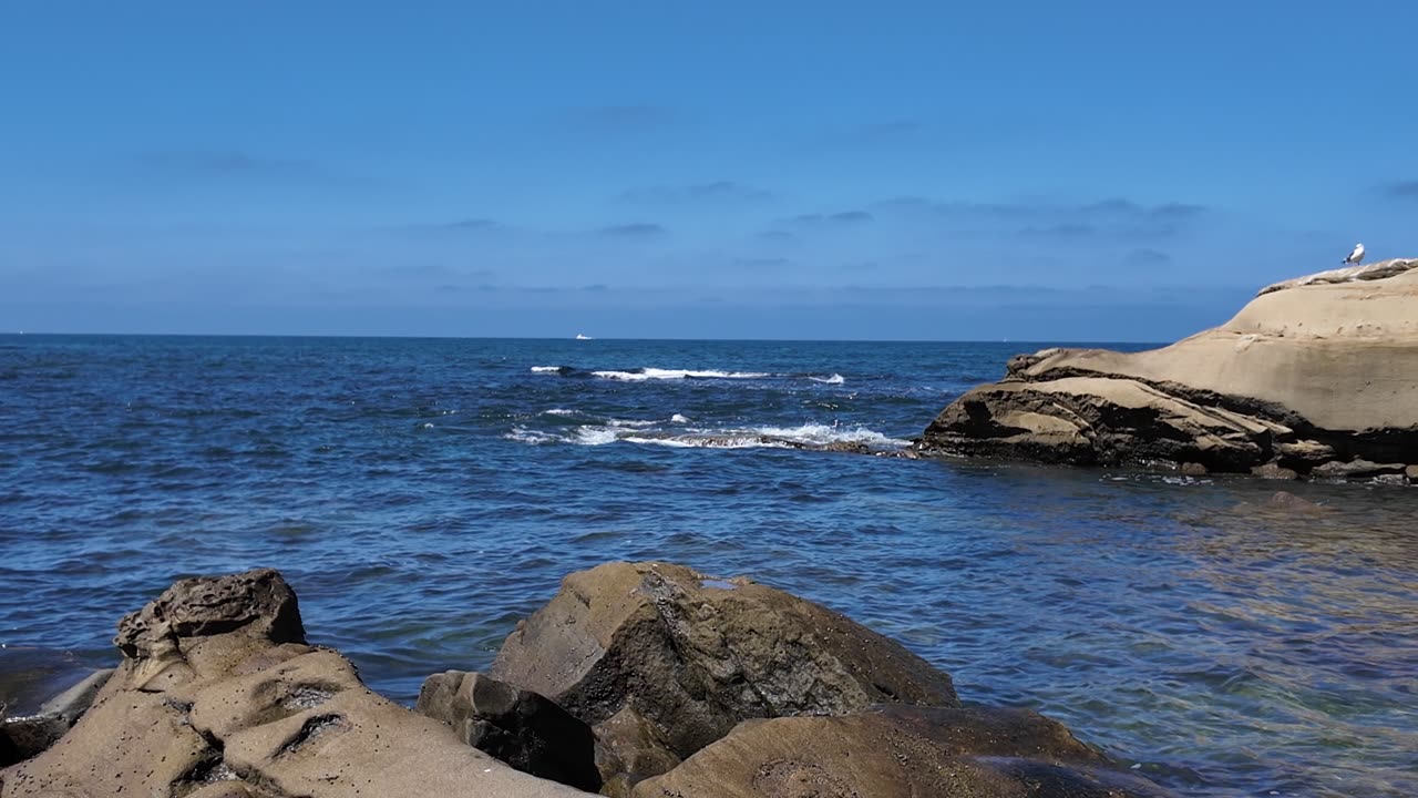 Hangout at The Flat Reef #waves #sunshine #relax #views