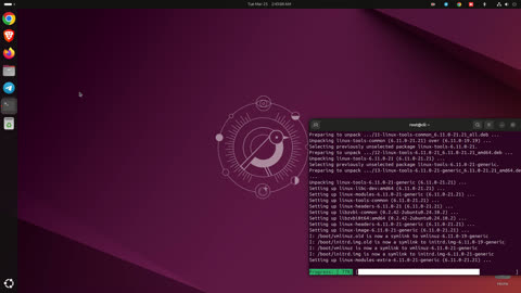 Ubuntu 24.10 Linux Installation Service