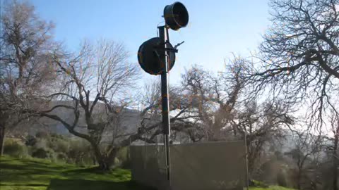 Woodpecker fills communications antenna with acorns!
