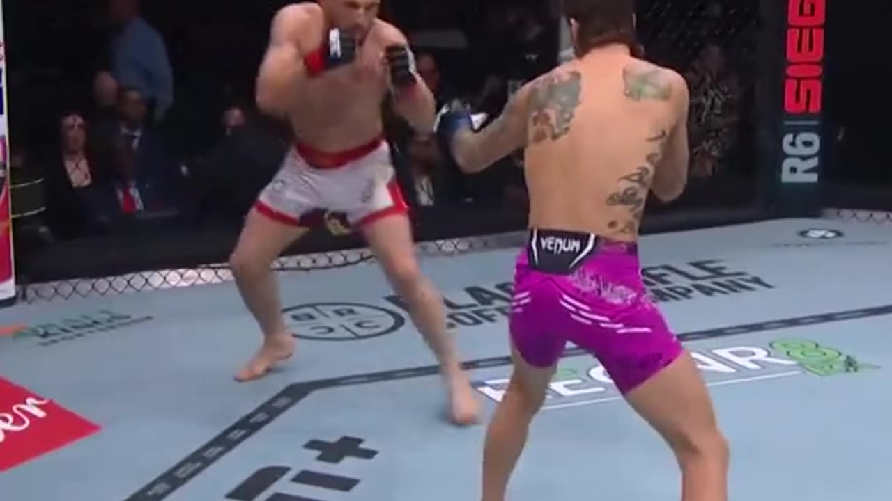 Main Card Results | UFC 316: Dvalishvili vs O'Malley 2