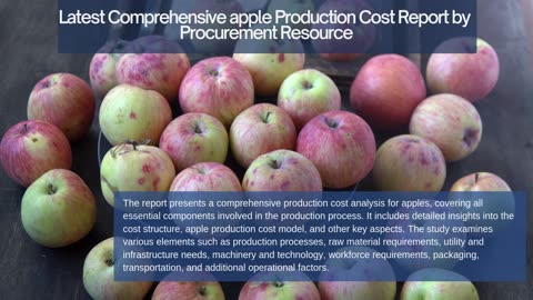 Apple Production Cost Analysis