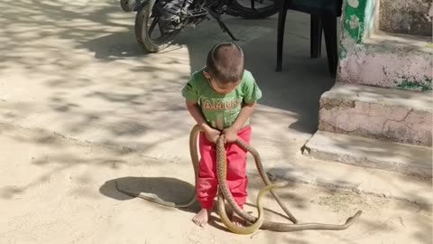 Cute little boy real short viral video