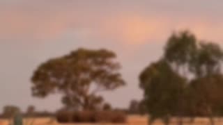 Natures Colours and Beauty at Jaya