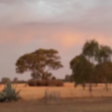 Natures Colours and Beauty at Jaya