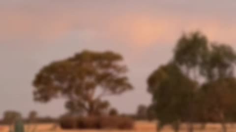 Natures Colours and Beauty at Jaya