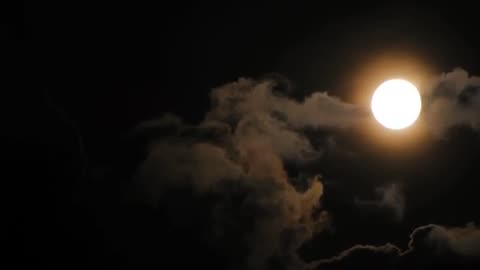 are you brave enough to watch this alone?