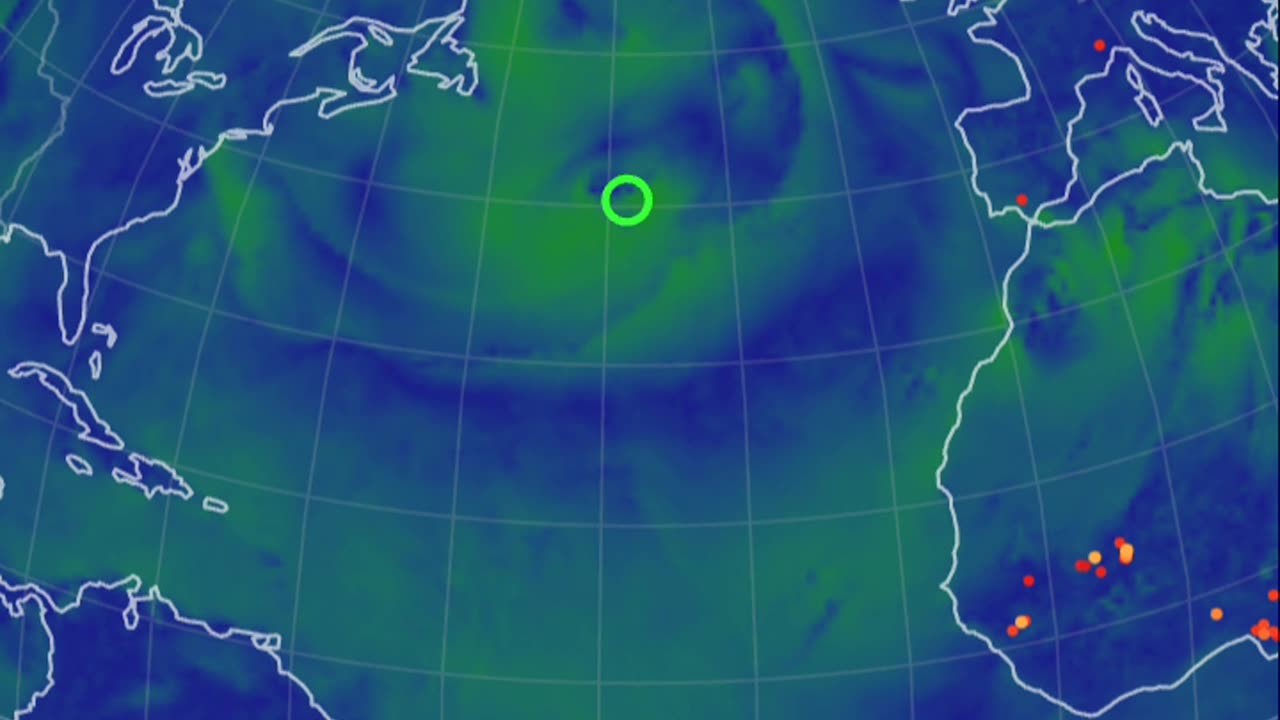 Grifter mews hump day update 💩🔥