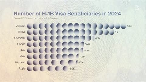 How An Army Of Middlemen Game The U.S. Work Visa System
