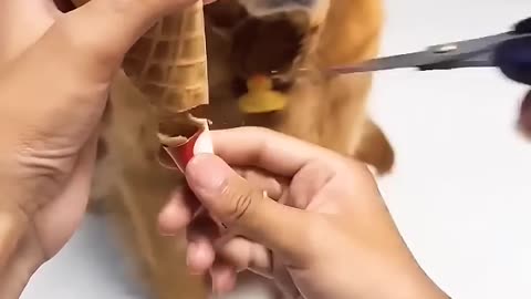 Funny videos