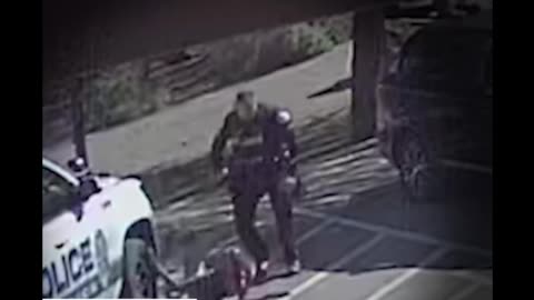 Henderson Cop Smacks Up a Chick