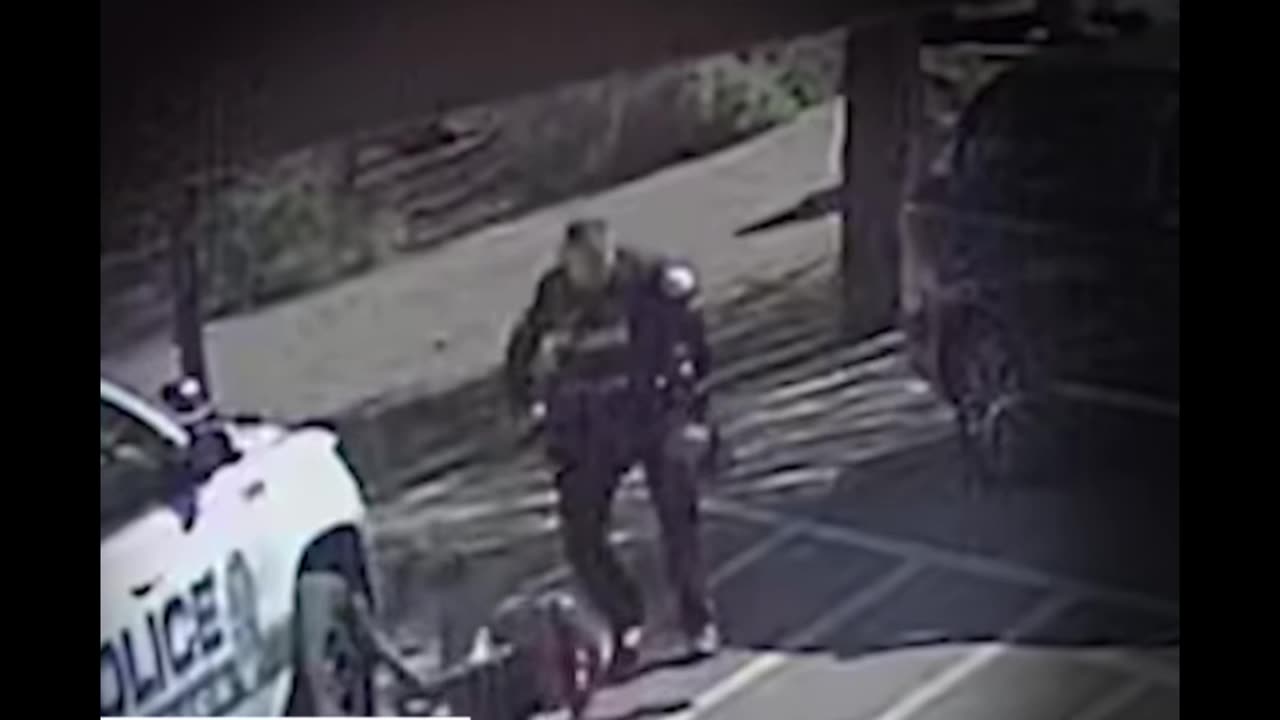 Henderson Cop Smacks Up a Chick