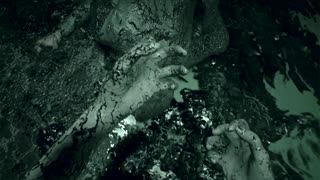 Resident Evil 7: The Hills have some mold PART 7