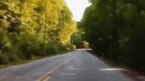 Ultimate Driving Sound Ambience 🚗🎶