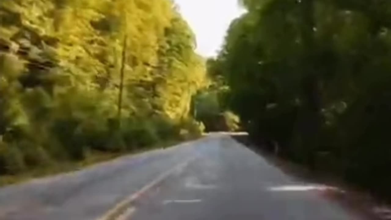 Ultimate Driving Sound Ambience 🚗🎶