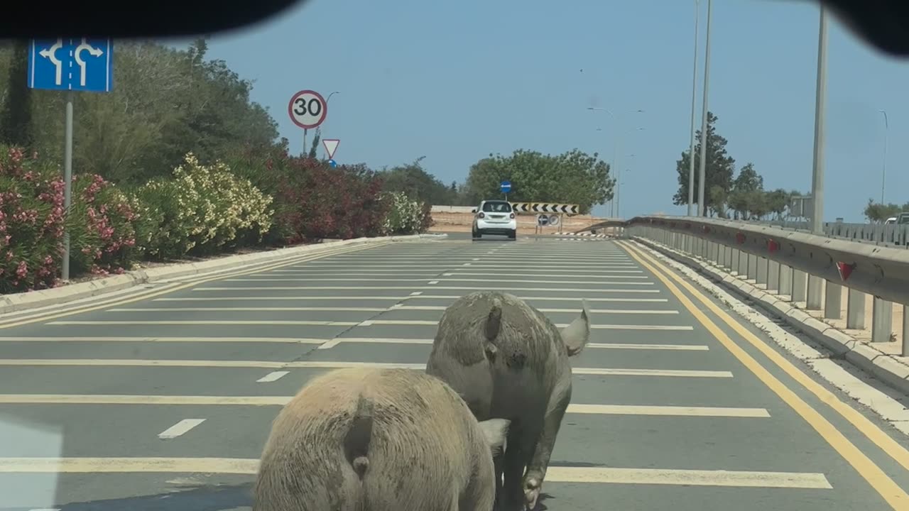 Me and Bestie Heading for Our First Swim
