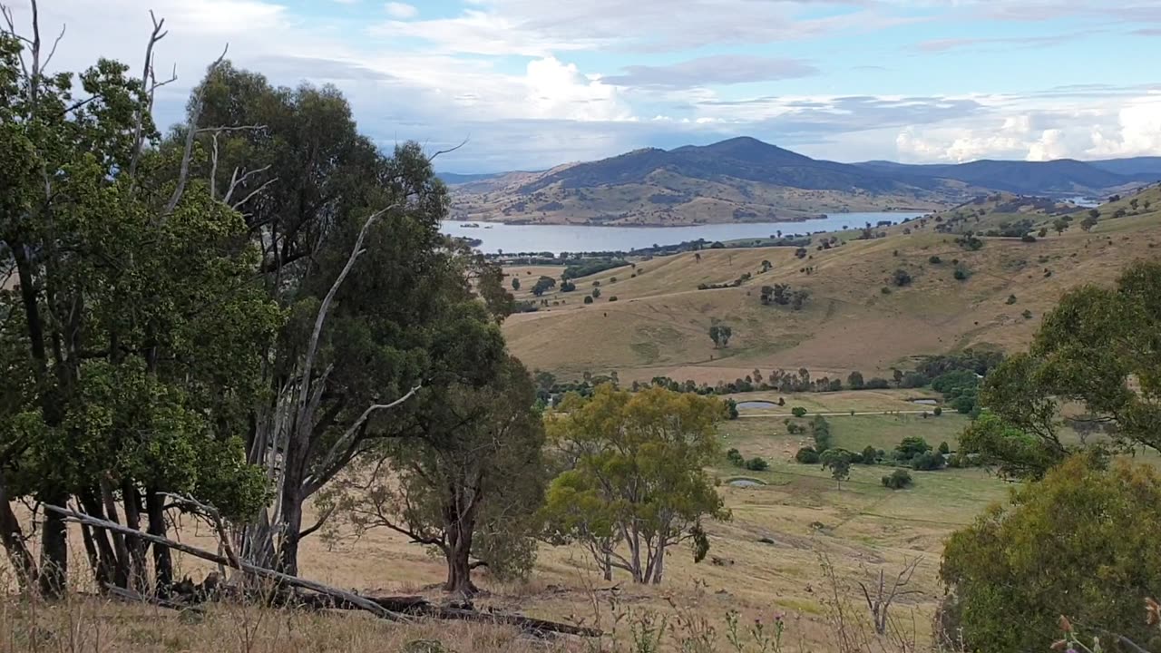 Bushwalking-Granya Area VIC