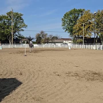 Ky & Sky Big T pattern in gymkhana!