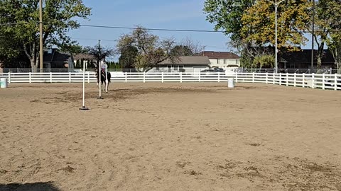 Ky & Sky Big T pattern in gymkhana!