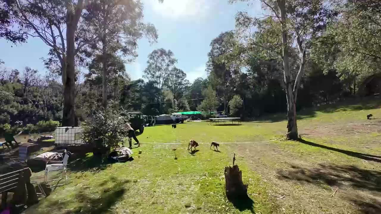 Pre-edit clip give a song sammy boi