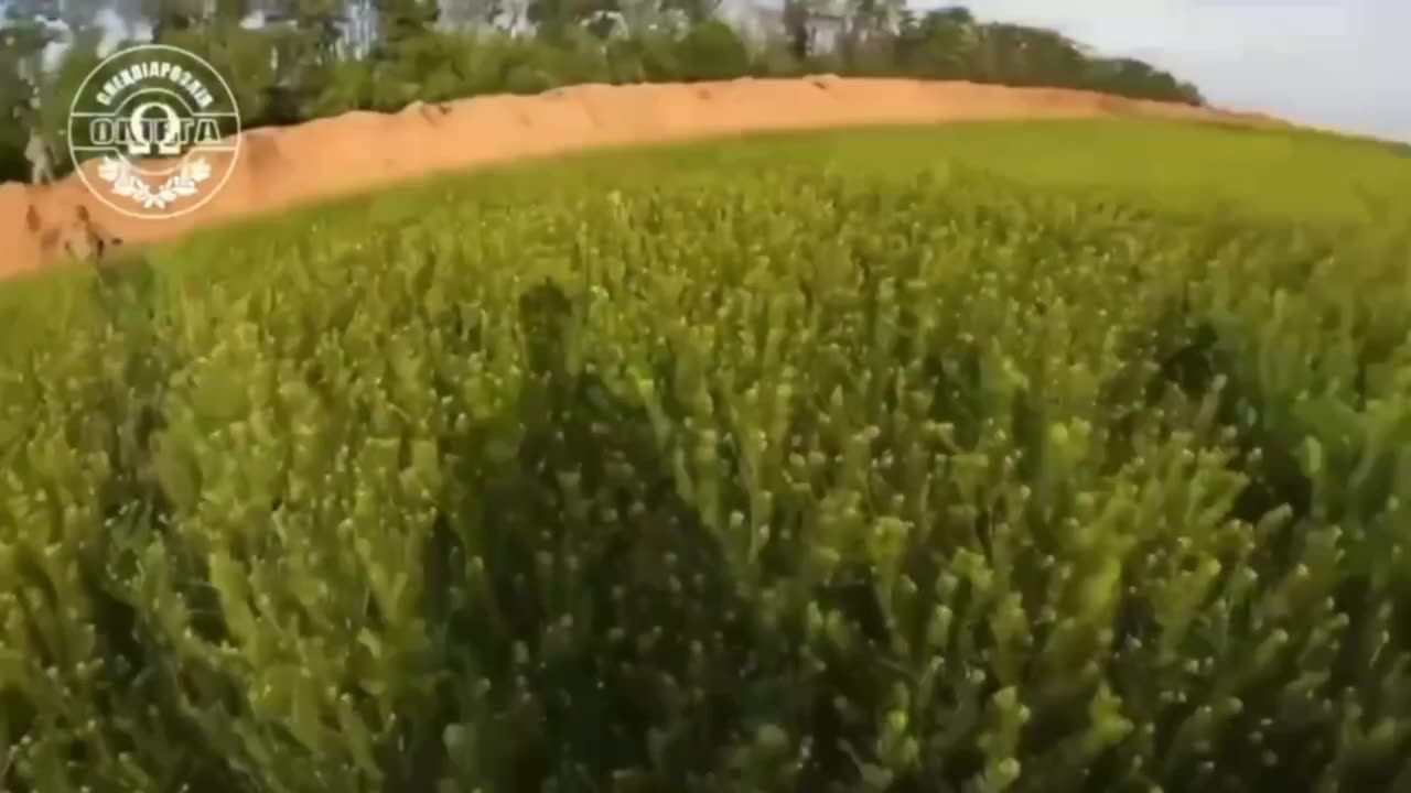 Ukrainians Run For the Treeline After Drone Smashes into Their Vehicle