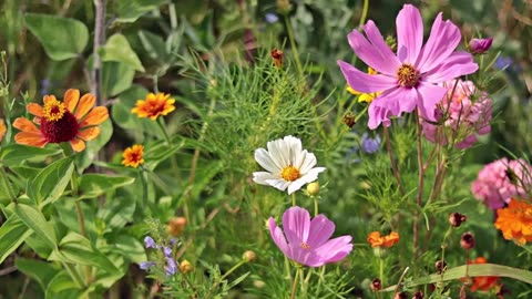 Message to Lauren Hidden True Crime