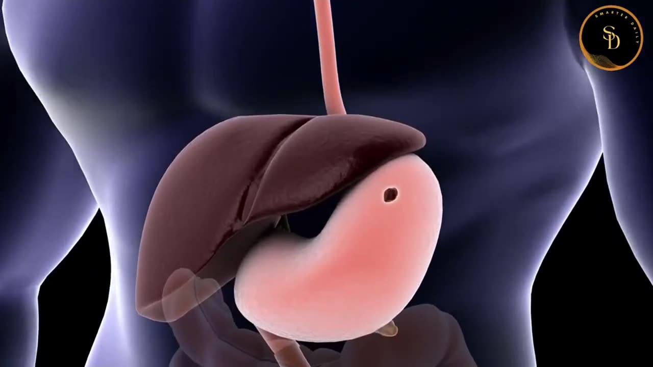 Biofeedback and the Gut: Enhancing Digestive Health