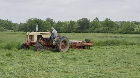 Cutting hay 2025