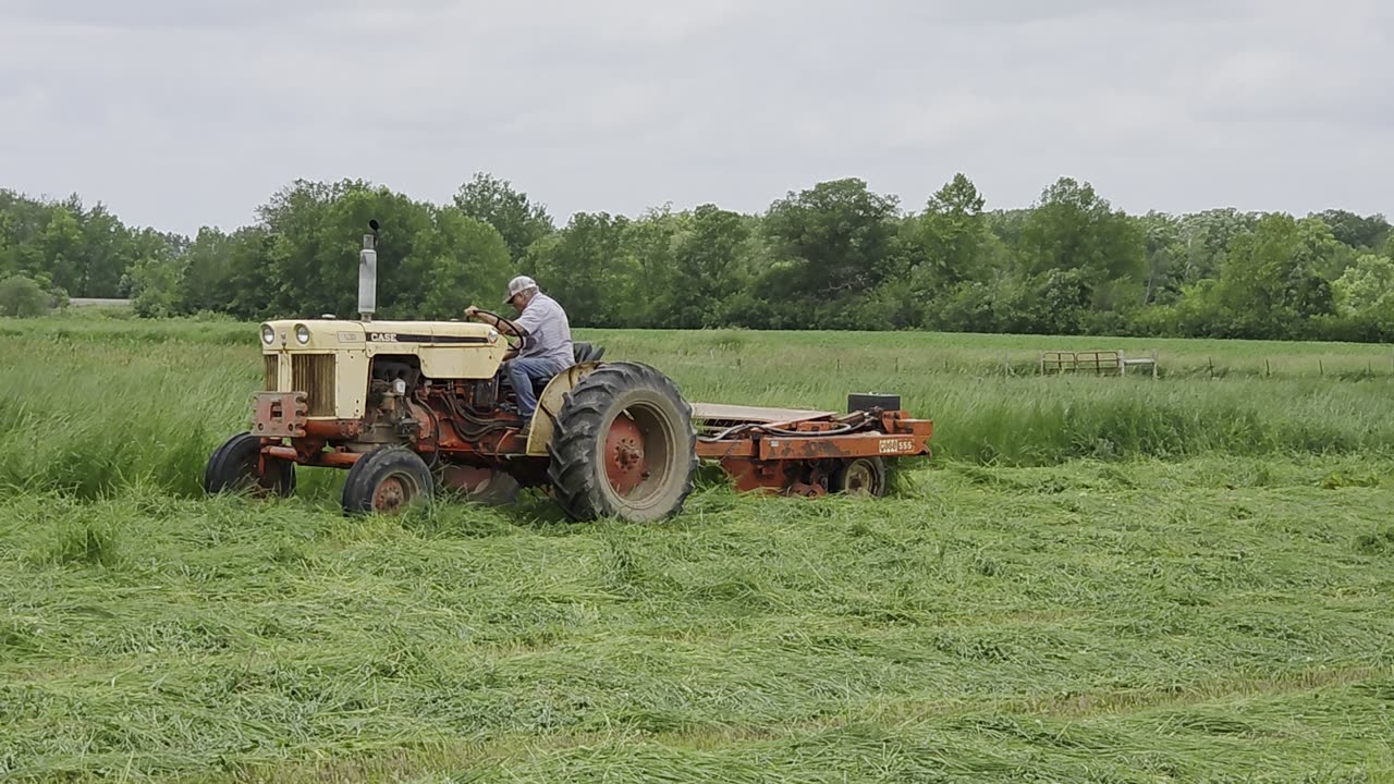 Cutting hay 2025