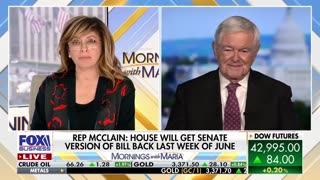 Newt Gingrich warns 'these are folks that want to conquer California' not migrate to it