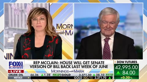 Newt Gingrich warns 'these are folks that want to conquer California' not migrate to it