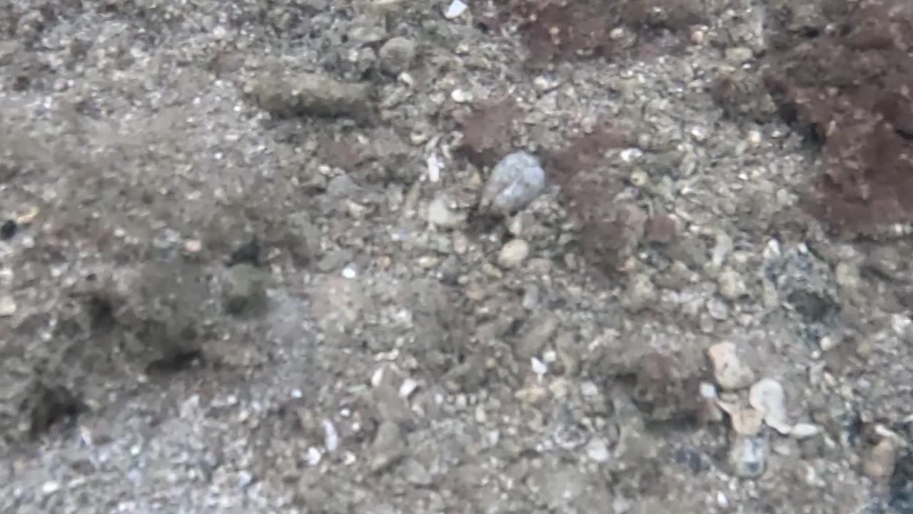 Snorkeling Through Serenity